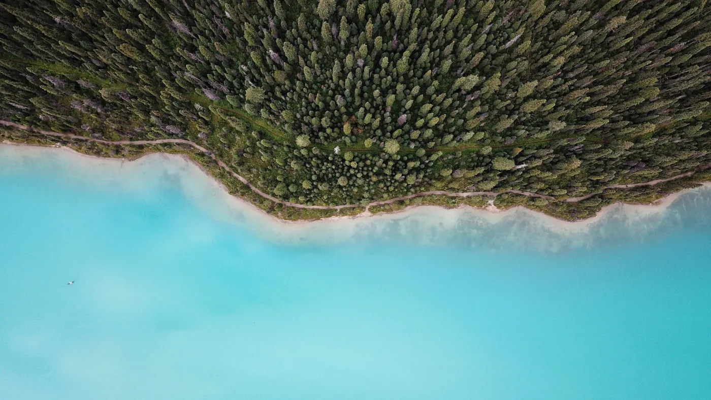A turquoise lake and a forest from above, AFI's look to the future